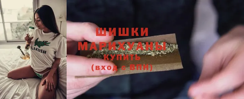 Конопля OG Kush  Боровичи 